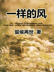 风一样的我歌曲