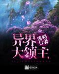异界大领主境界
