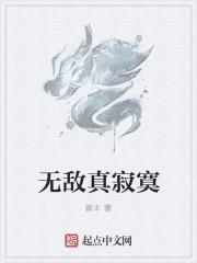 无敌真寂寞搞笑吗