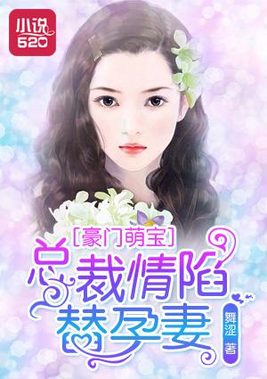 豪门总裁的替爱妻失落的喧嚣