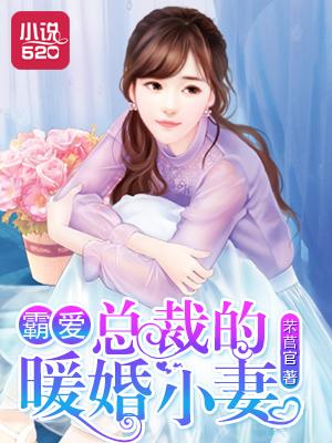 霸道总裁的暖婚甜妻免费阅读