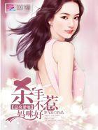杀手妈咪的腹黑龙凤胎宝宝
