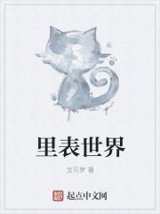 表里世界百度百科