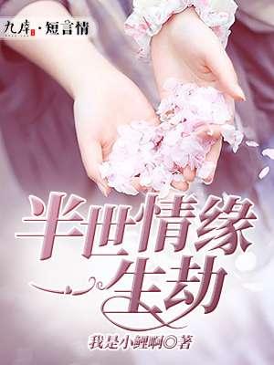 半生缘一世情3集