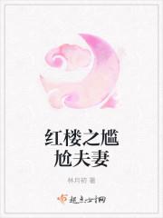 穿越红楼尴尬