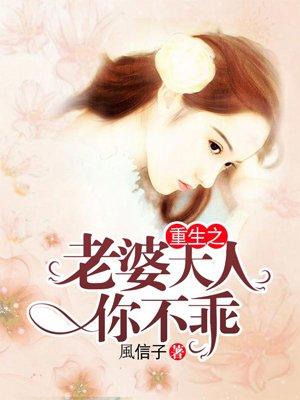 重生我的老婆大人