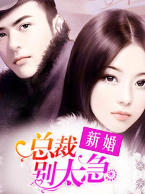 总裁新妻太硬核