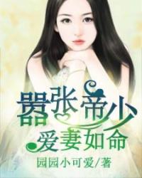 帝少宠妻如命全文免费