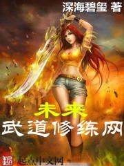 未来武道纪元飞东