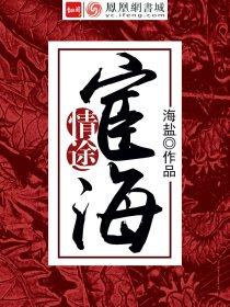 宦海情途完整版阅读