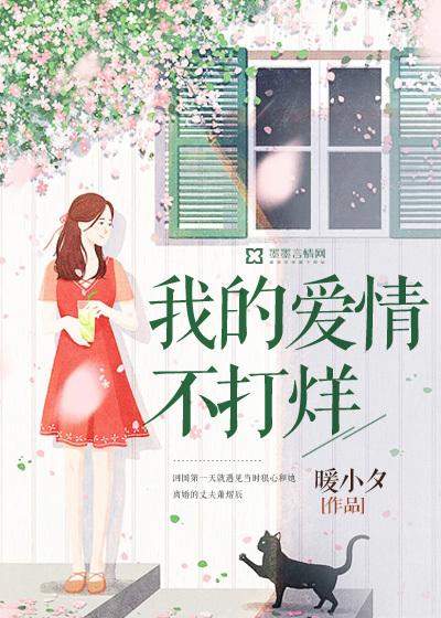 爱情不打烊歌词
