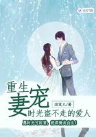 重生宠妻时光盗不走的恋人