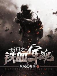 抗日之铁血军魂电视剧免费观看
