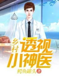 乡村透视小神医刘子轩