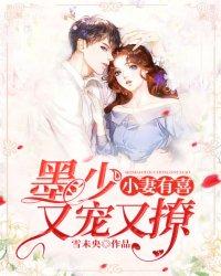 墨少宠妻