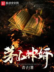 茅山神婿陆羽比叶少阳