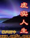 虚实人生完整版