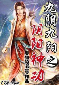 九阴九阳阴阳神功