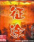 征途轮胎