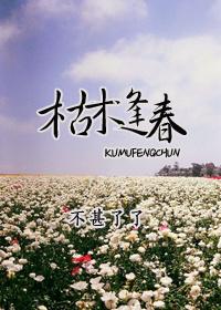 枯木逢春犹再发人无两度再少年