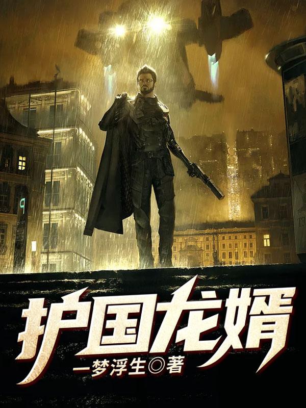 护国龙婿萧战穆如雪完结版
