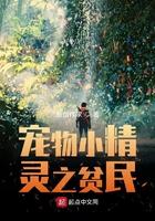 宠物小精灵之我是平民第八区