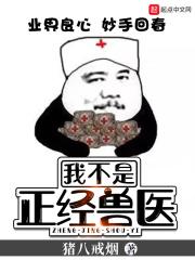 我不是正经的少侠