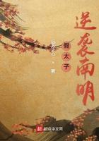 假冒太子妃