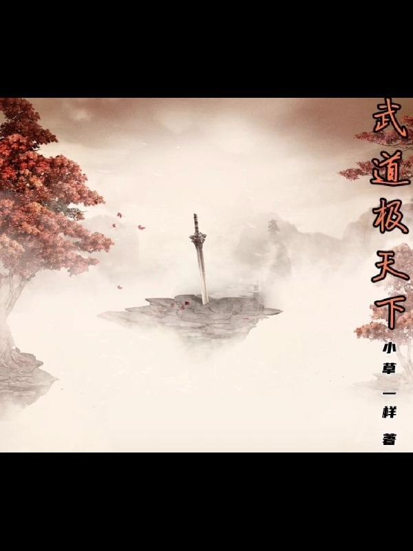 武道天下境界