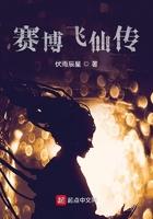 赛博飞特信息技术(北京)有限公司