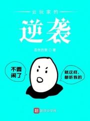 何为云玩家