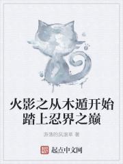 火影之从木遁开始踏上忍界之巅免费阅读