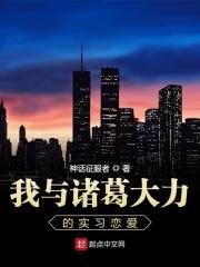 关于诸葛大力的同人