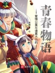 关于爱情公寓诸葛大力的