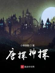 唐探解析