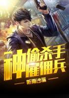 神偷杀手特种兵全集txt