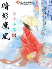 暗夜魔影技能