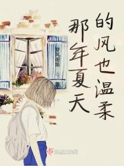 那年夏天有风吹过歌词
