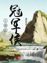 重生三国之冠军侯