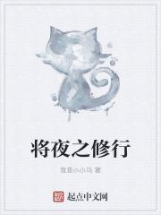 将夜中的修行等级划分