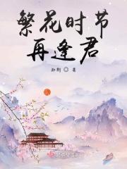 繁花十里君无归期最新章节