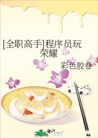 全职高手黑客也玩荣耀别名