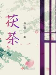 茯茶煮着喝还是泡着喝