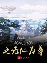 霹雳天无之境