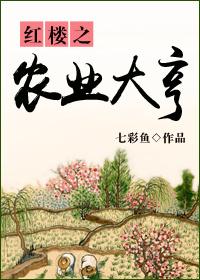红楼之种田空间