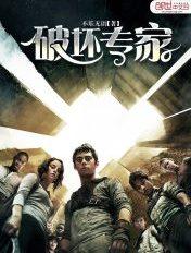 破坏专家 txt