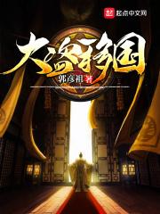 将大盗3